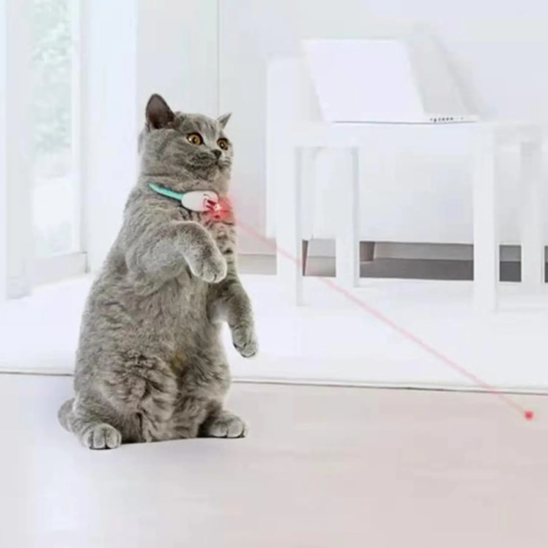 Polypropylene Automatic Cat Teasing Laser Pen 5