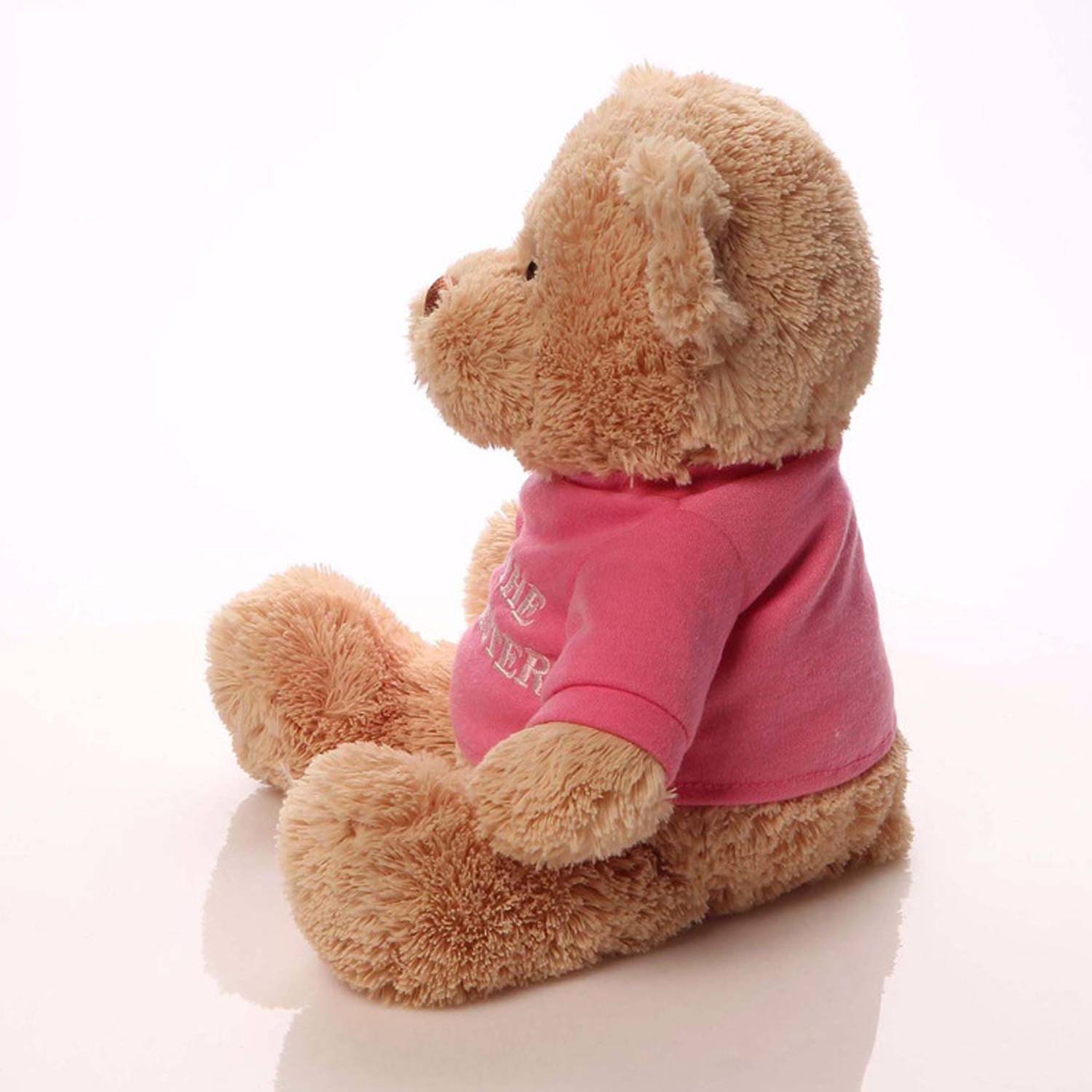 Cute Teddy Bear Plush Toys w/ Shirt 5