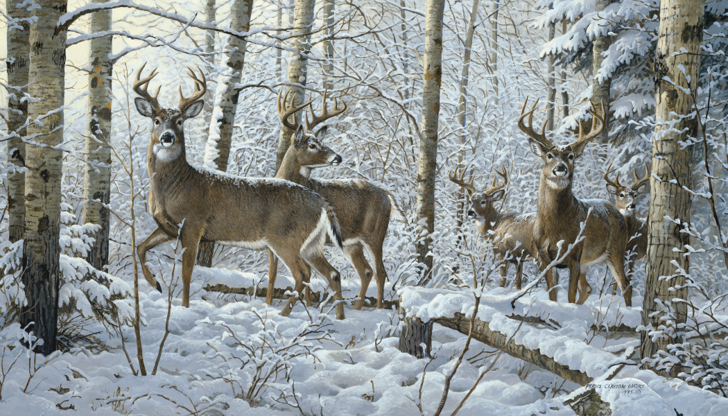 Triumph® Calendars Wildlife Art Calendar