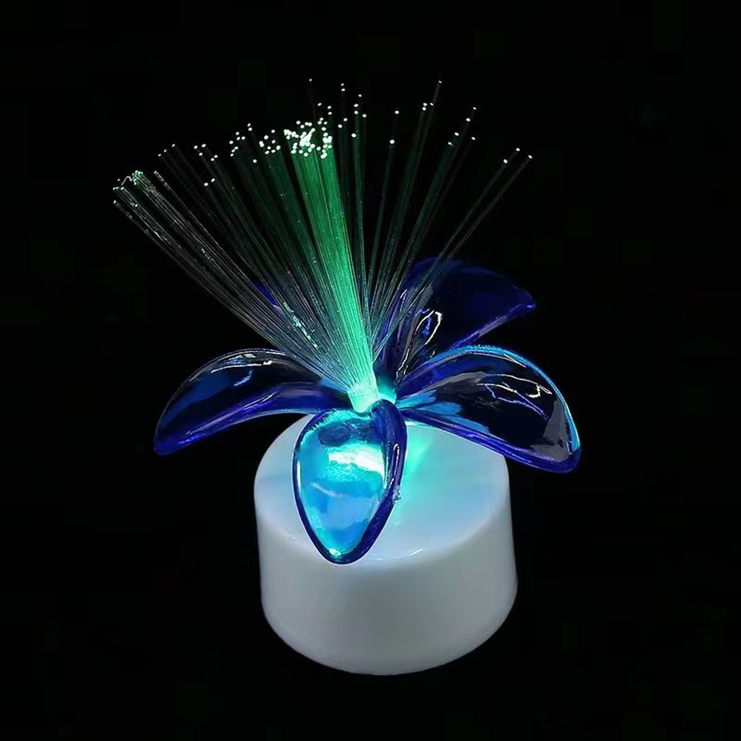 Colorful Fiber Optic LED Light 6