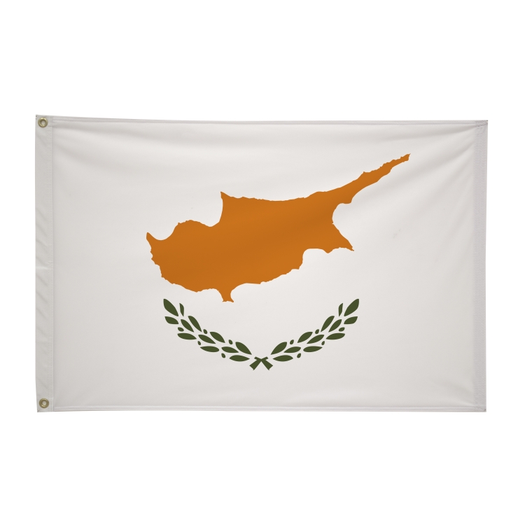 2' x 3'International Flag 6