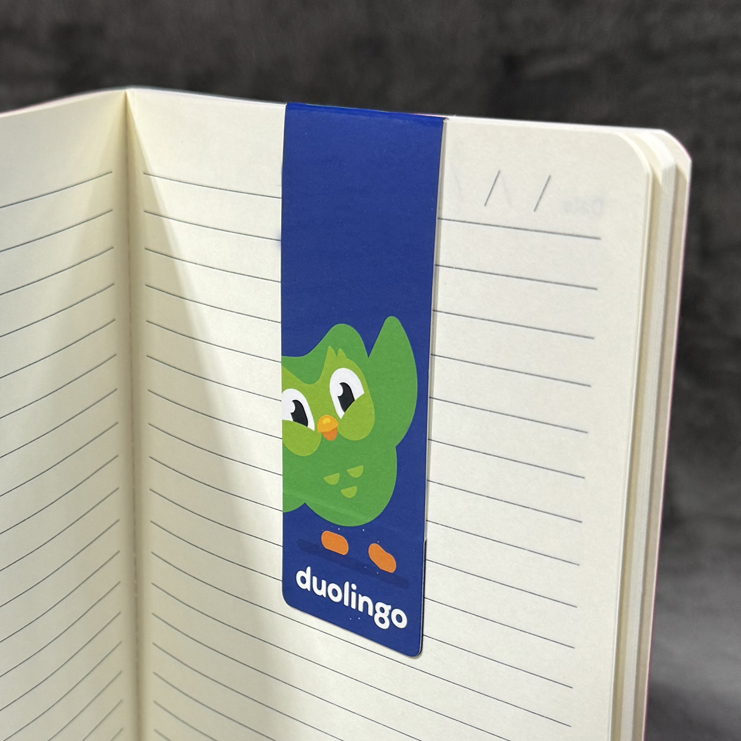 Bookmark Magnet 3