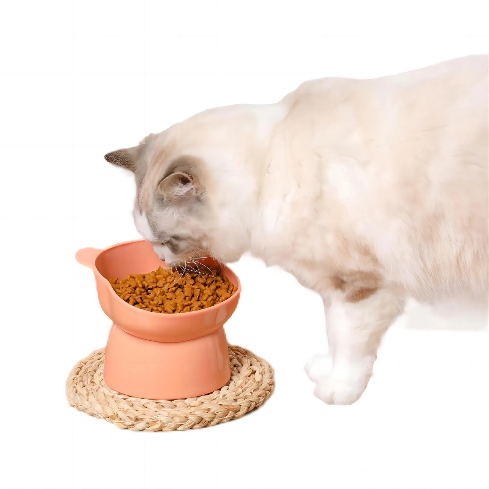 Cat Bowl Tilted High Legged 3