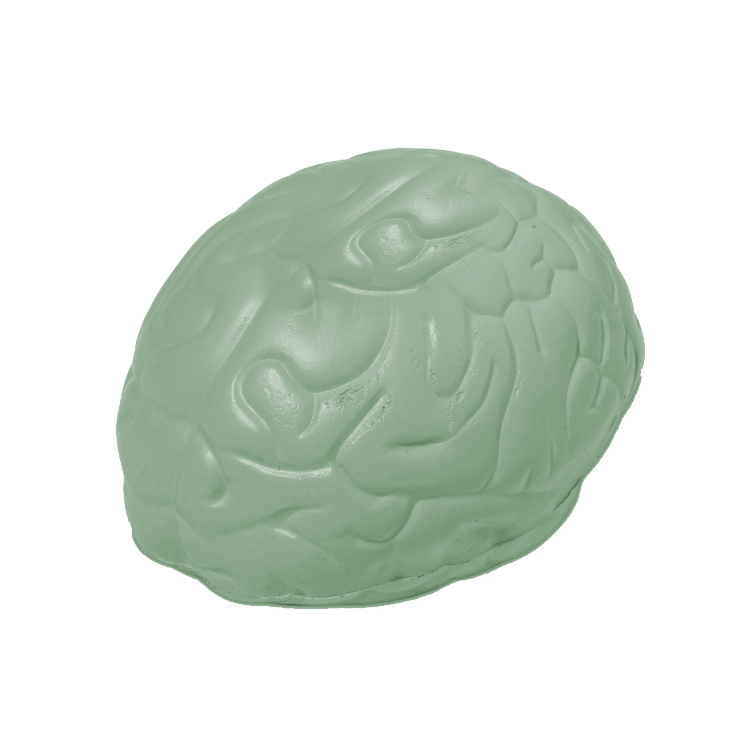 Brain Stress Ball 4