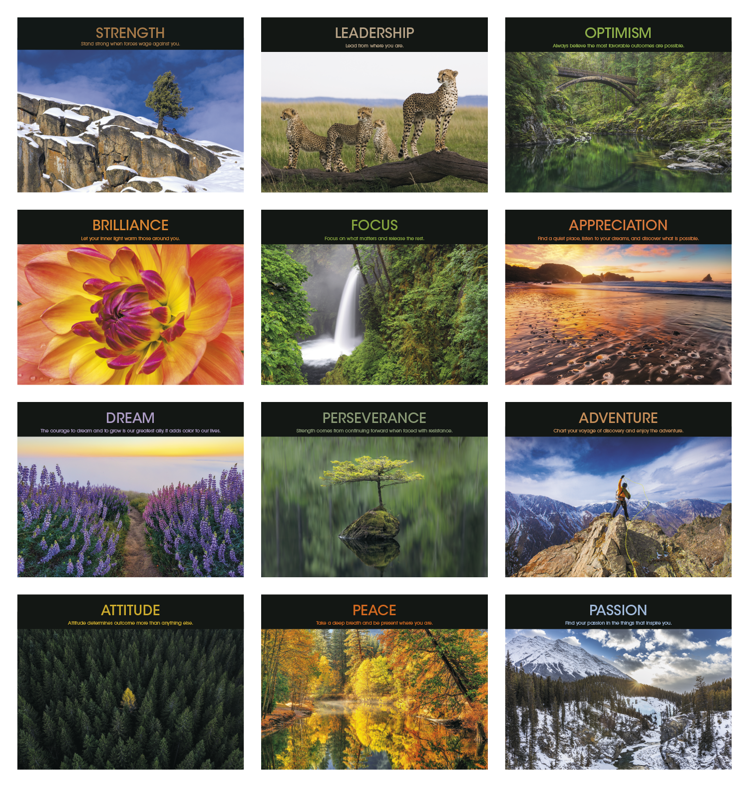 Good Value™ Motivations - Spiral Calendar 12