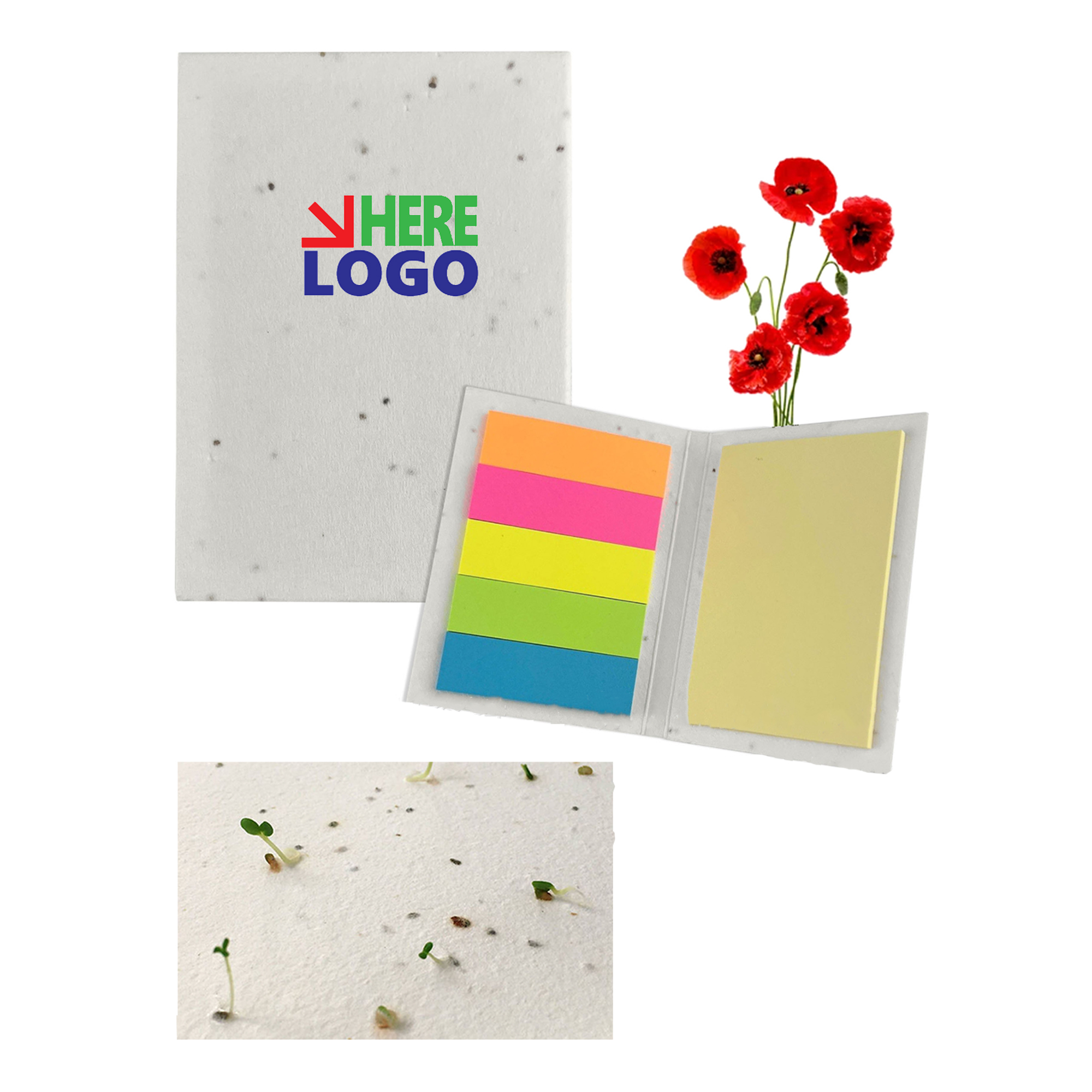 Biodegradable Seed Germination Note Pad MOQ 50 1