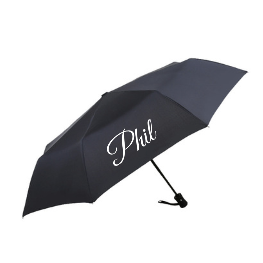 Compact Auto Windproof Travel Umbrella 2