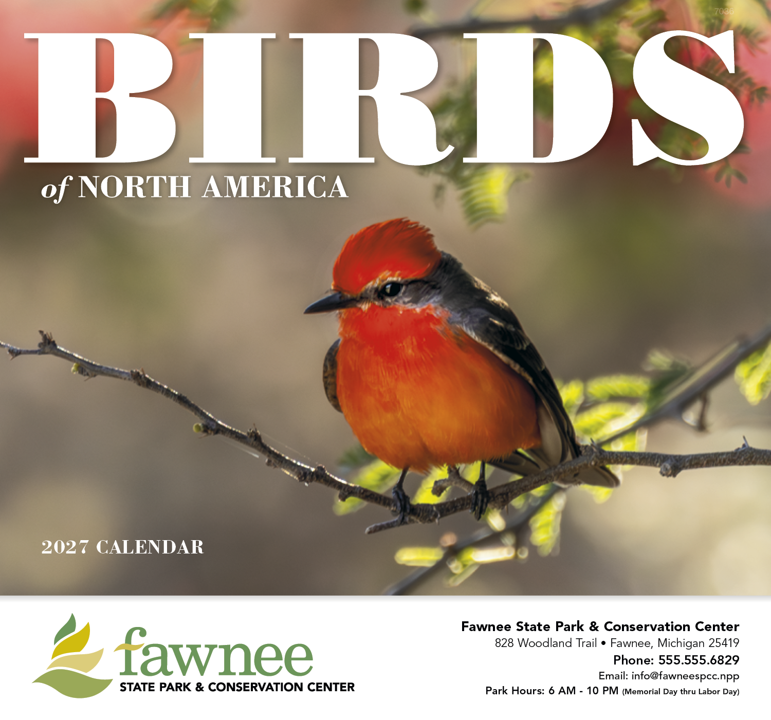 Good Value™ Birds of North America - Stapled Calendar 72