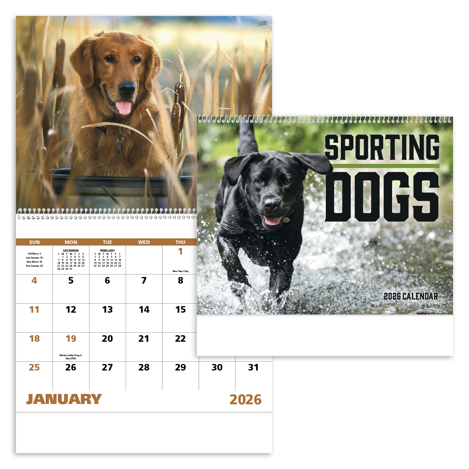 Good Value™ Sporting Dogs - Spiral Calendar 40