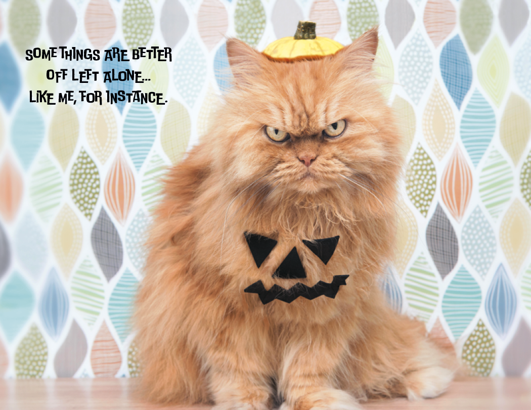 Good Value™ Pets with Attitude - Spiral Calendar 38