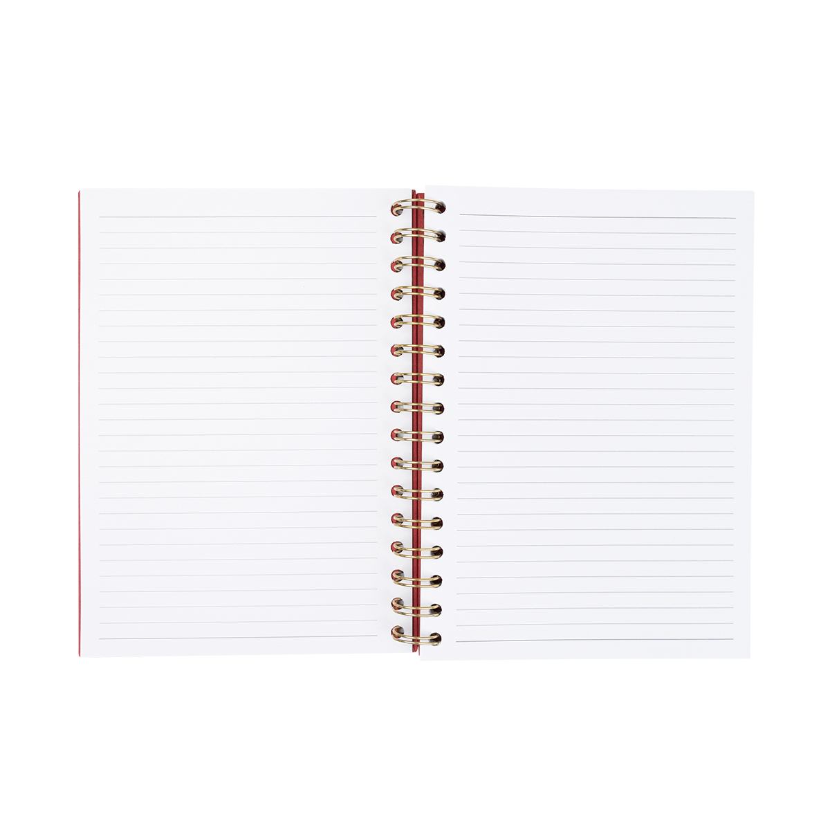 Fruit Paper Spiral Notebook 11