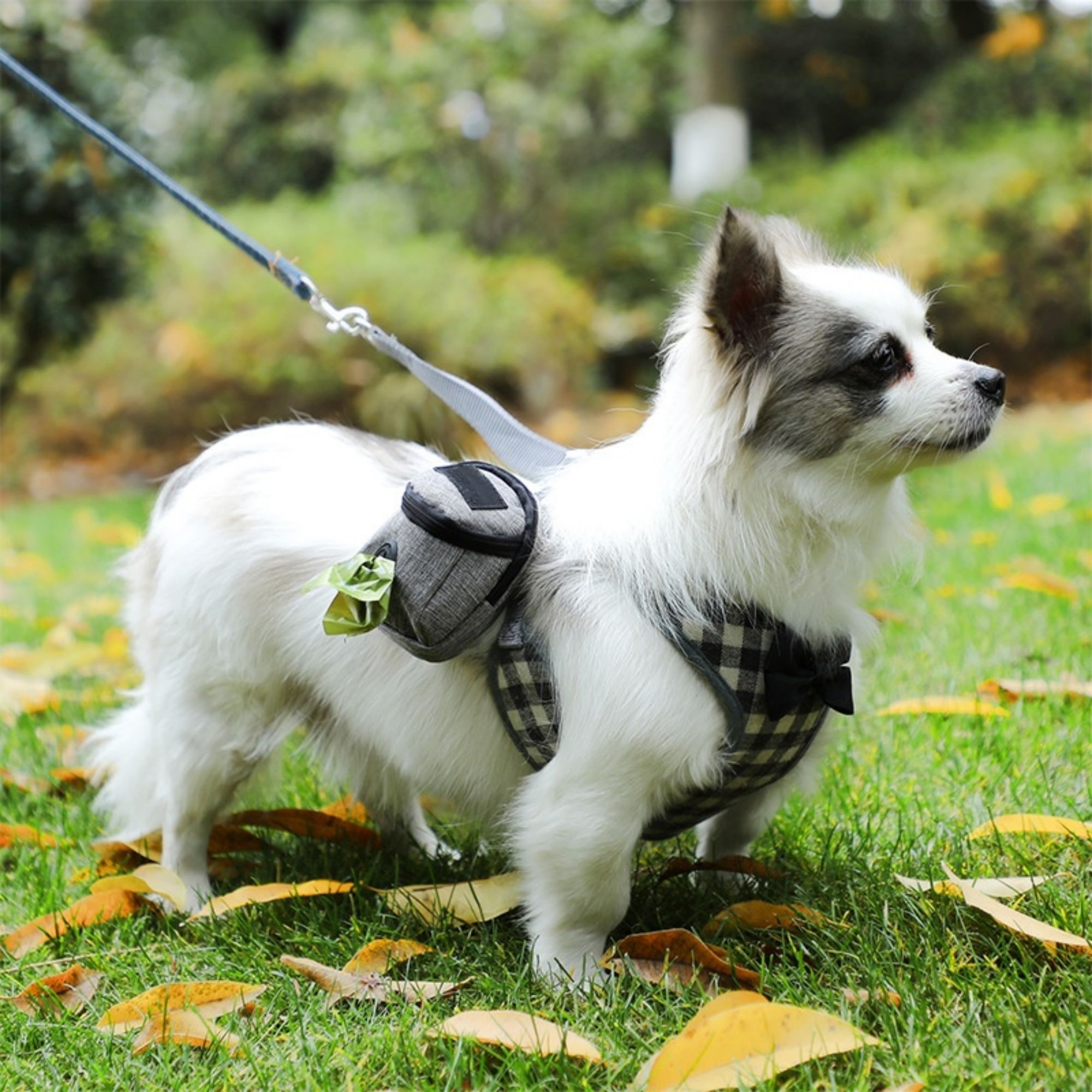 Dog Poop Bag 7
