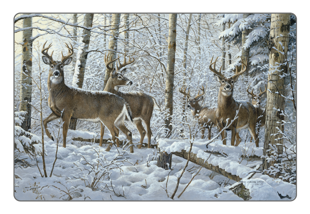 Triumph® Calendars Wildlife Art Pocket Calendar