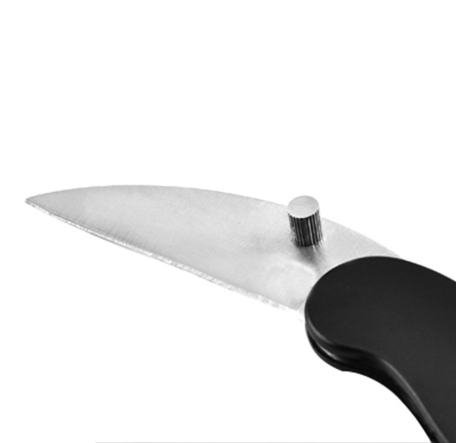 Stainless Steel Folding Pocket Knife and Carabiner 6