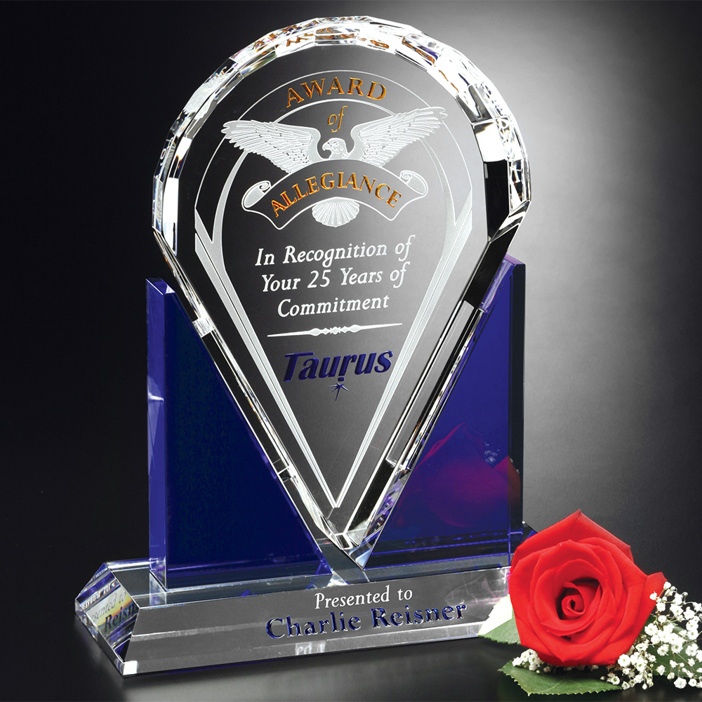 Distinction Award 10