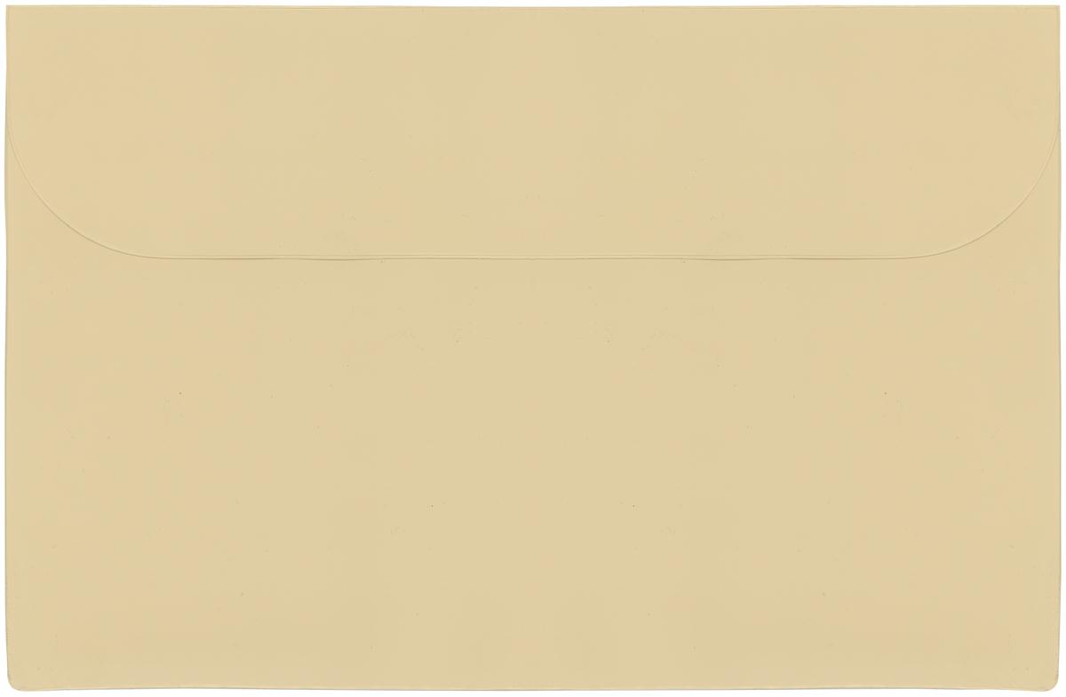 Standard Vinyl Underarm Portfolio 2