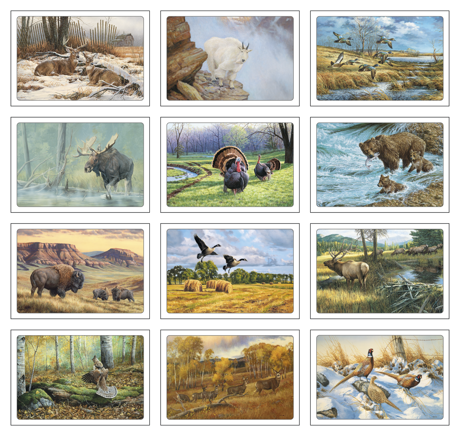 Triumph® Calendars Wildlife Art Pocket Calendar 60