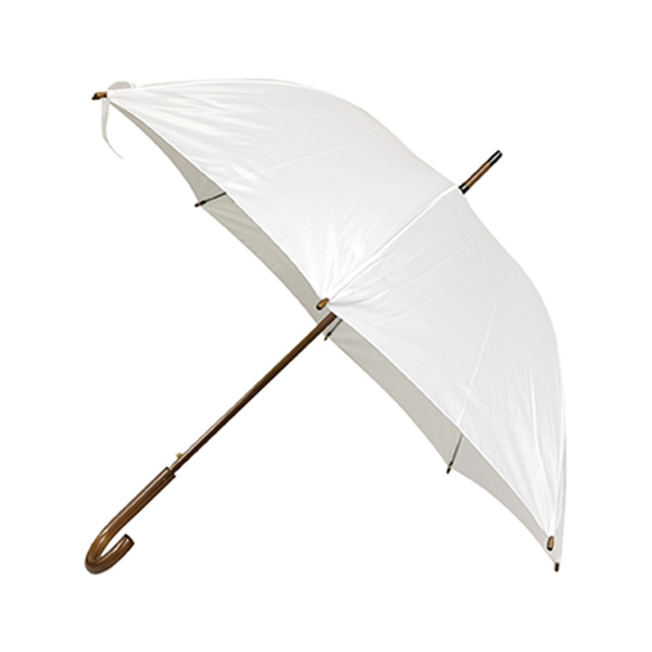 EXECUTIVE UMBRELLA: 48" Arc with Hook Handle 2