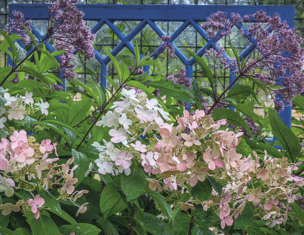 HotLine® Products Gardens Appointment Calendar - Stapled 4