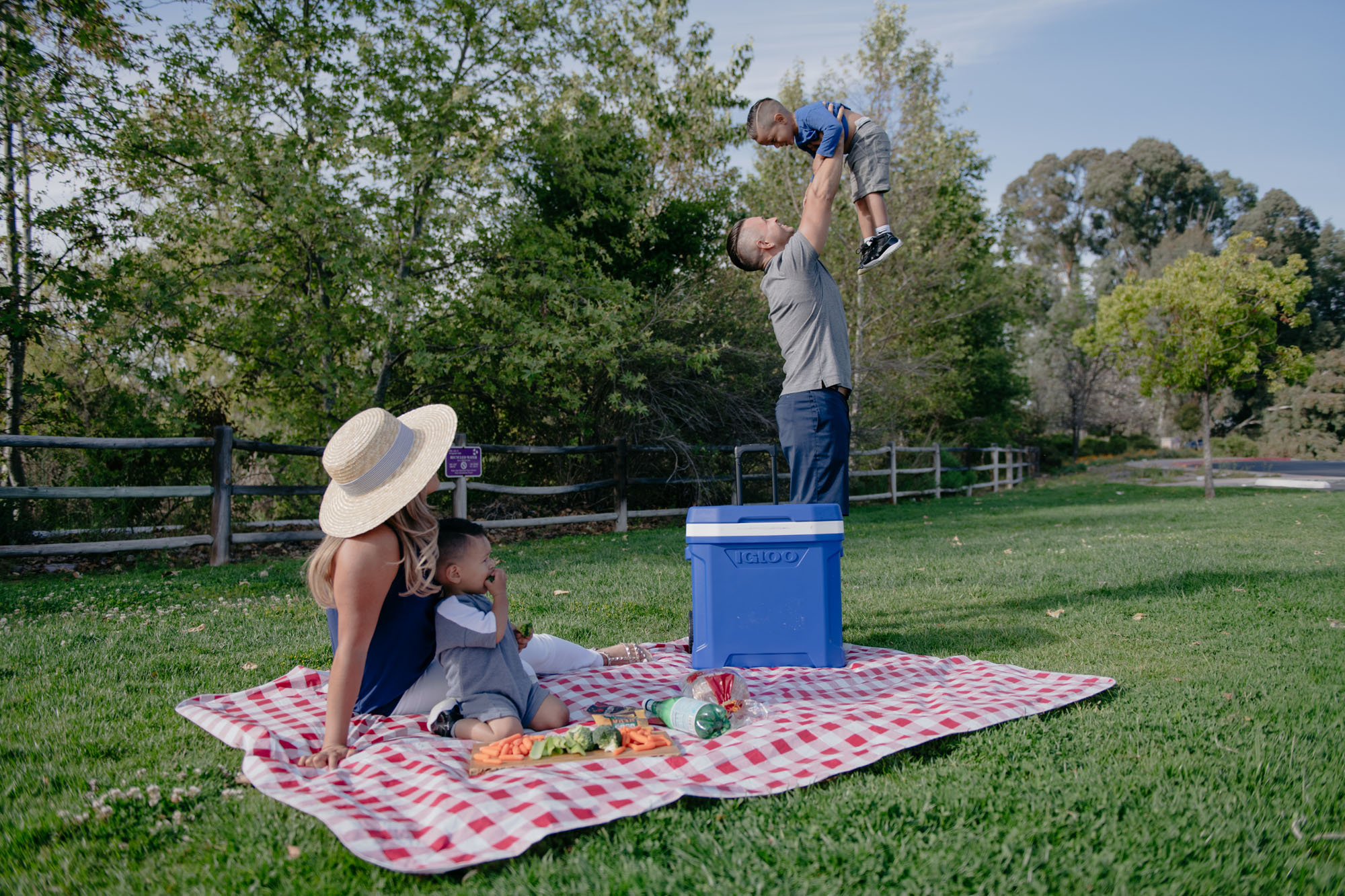 Igloo® Profile II 28 Qt Roller Cooler 28