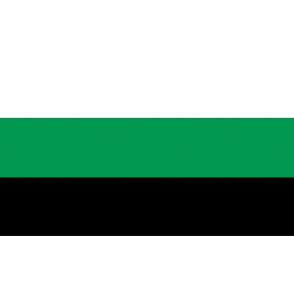 Neutrois Motorcycle Flag 2