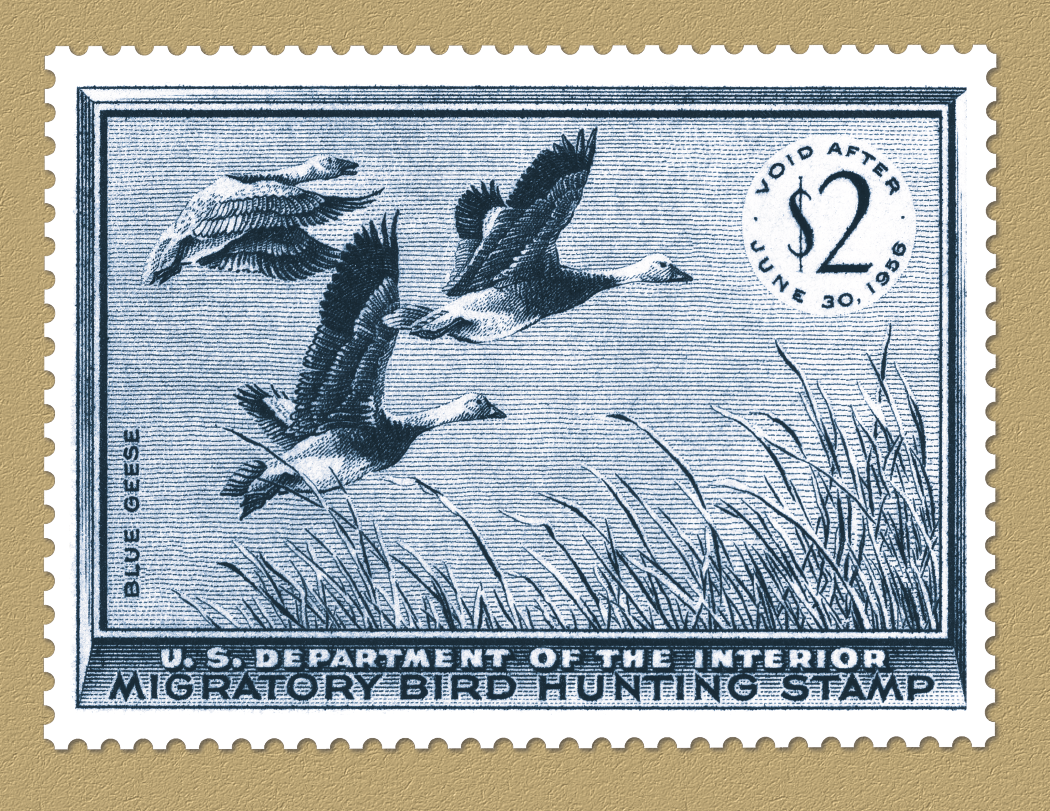 Triumph® Calendars Duck Stamps Calendar 65
