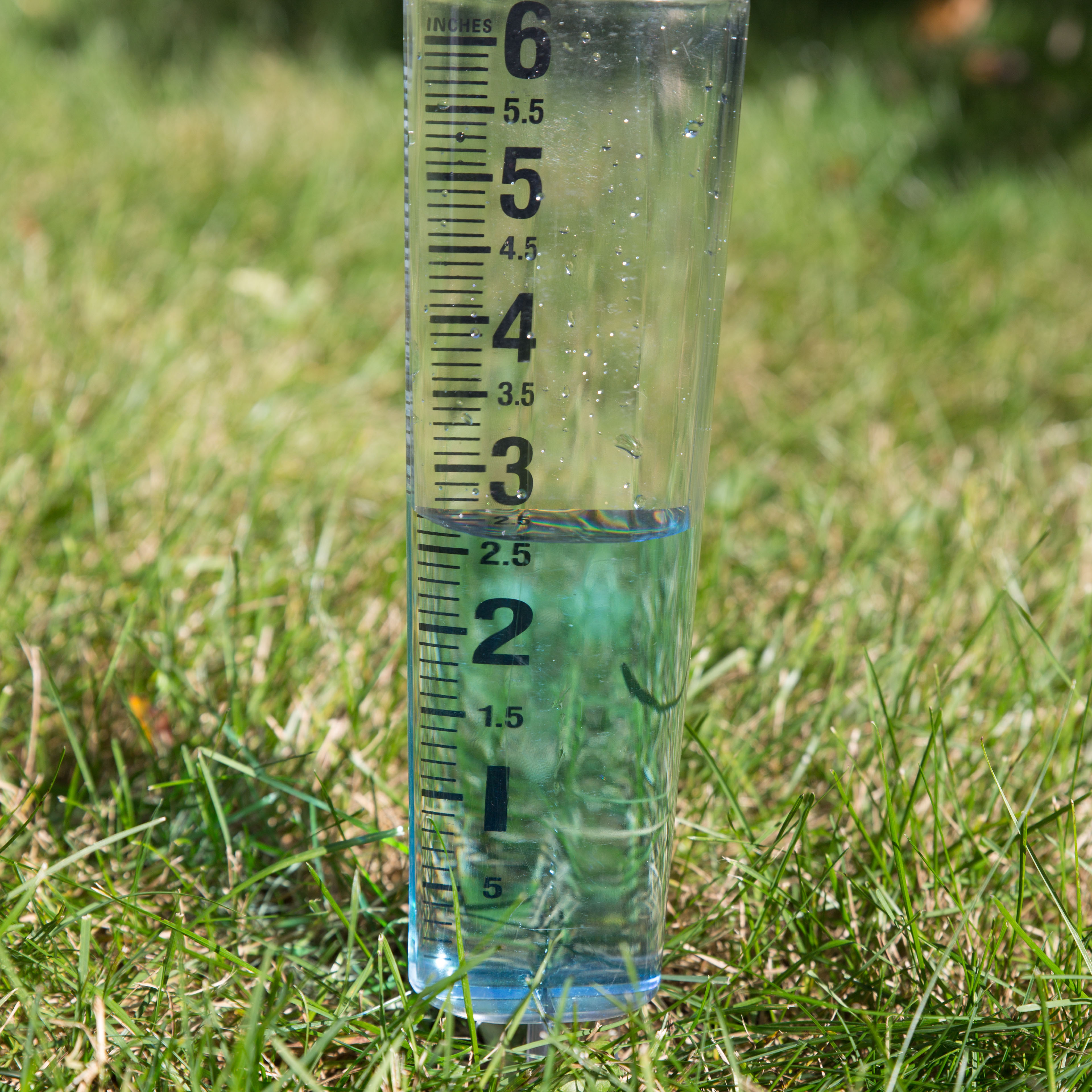 Rain Gauge 2