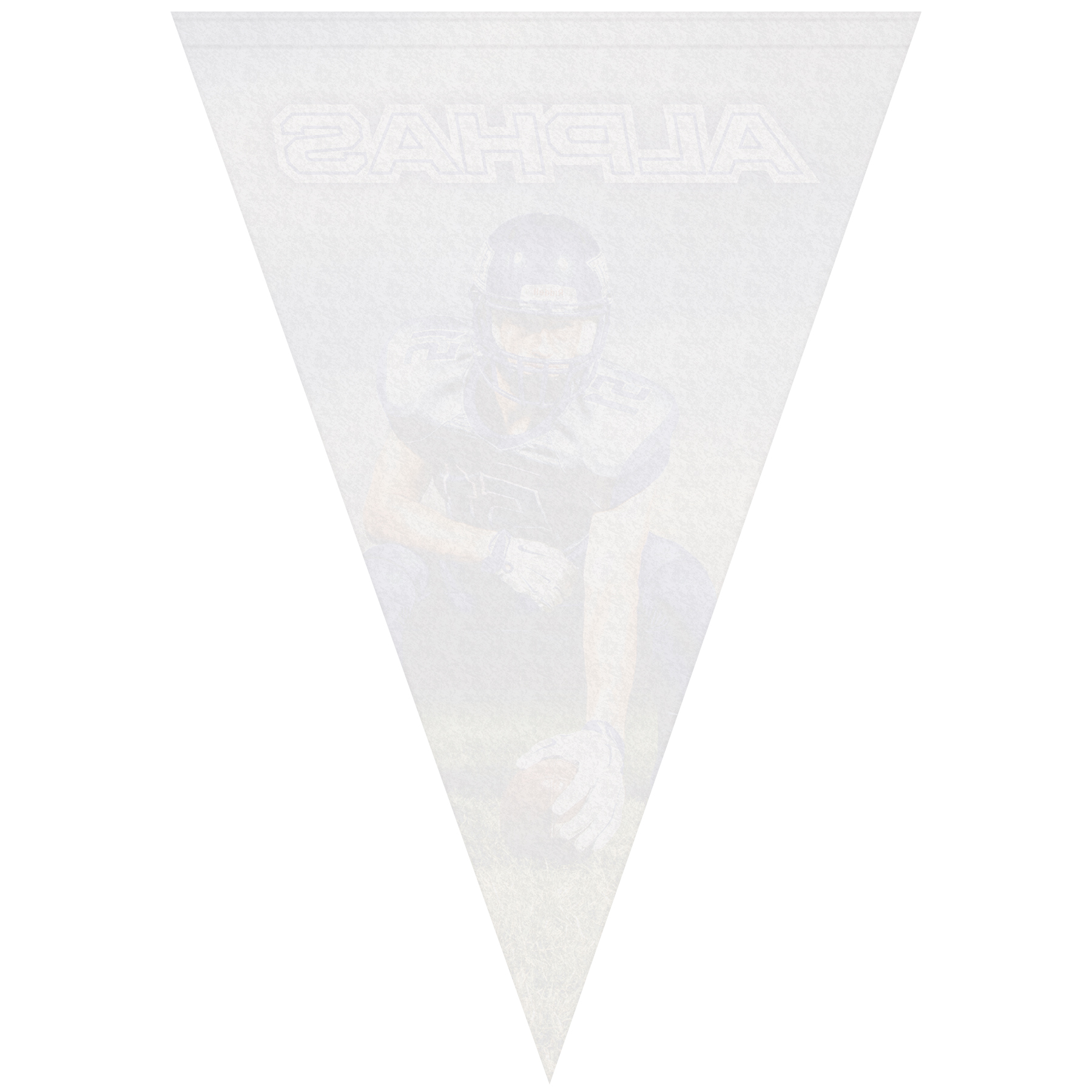 14" x 20" Vertical Triangle Shaped Felt Banner 3