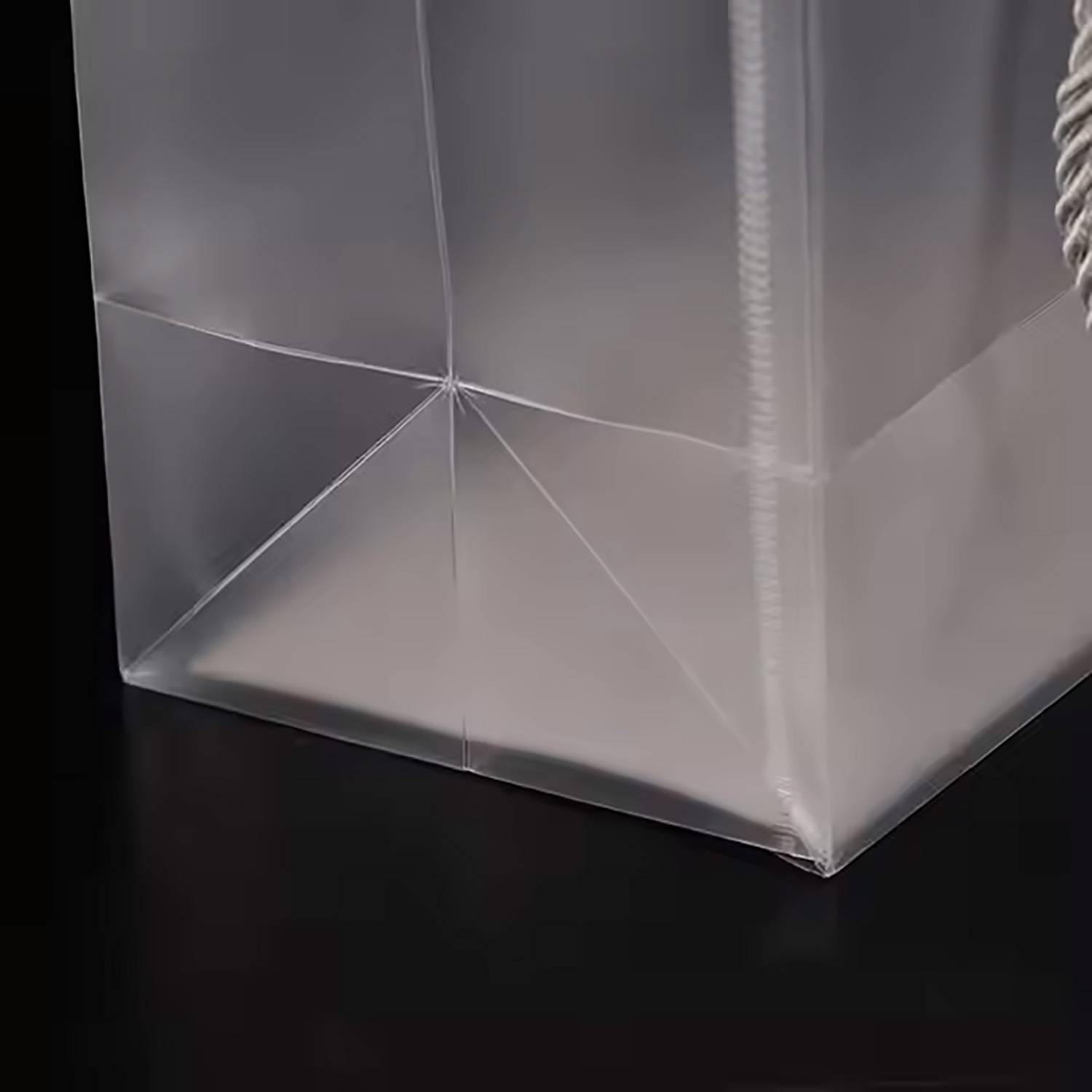 Transparent PP handbag 5