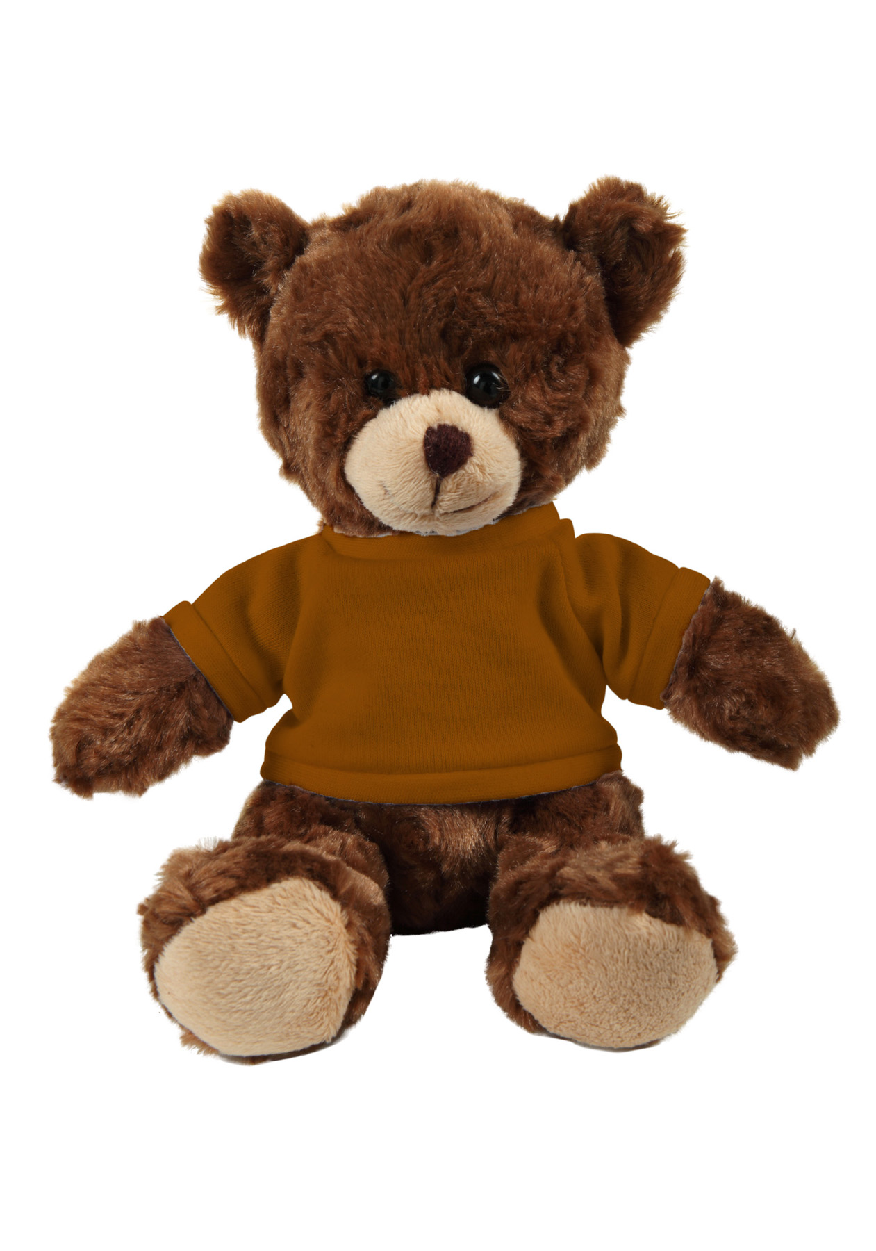 soft plush  Chocolate Curly Sitting Bear with t-shirt 6
