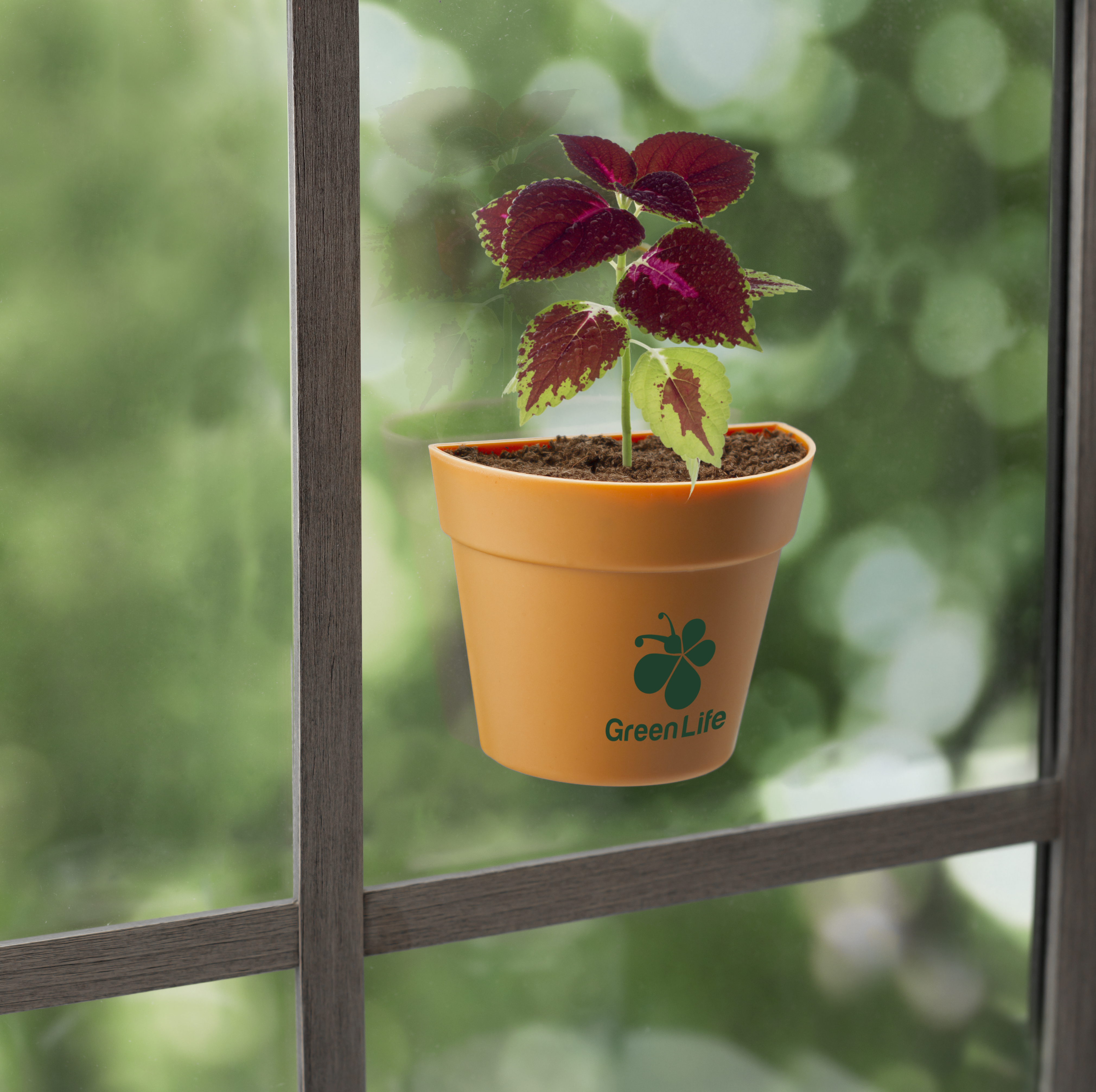 Wall Sprouts Planter Blossom Kit 2