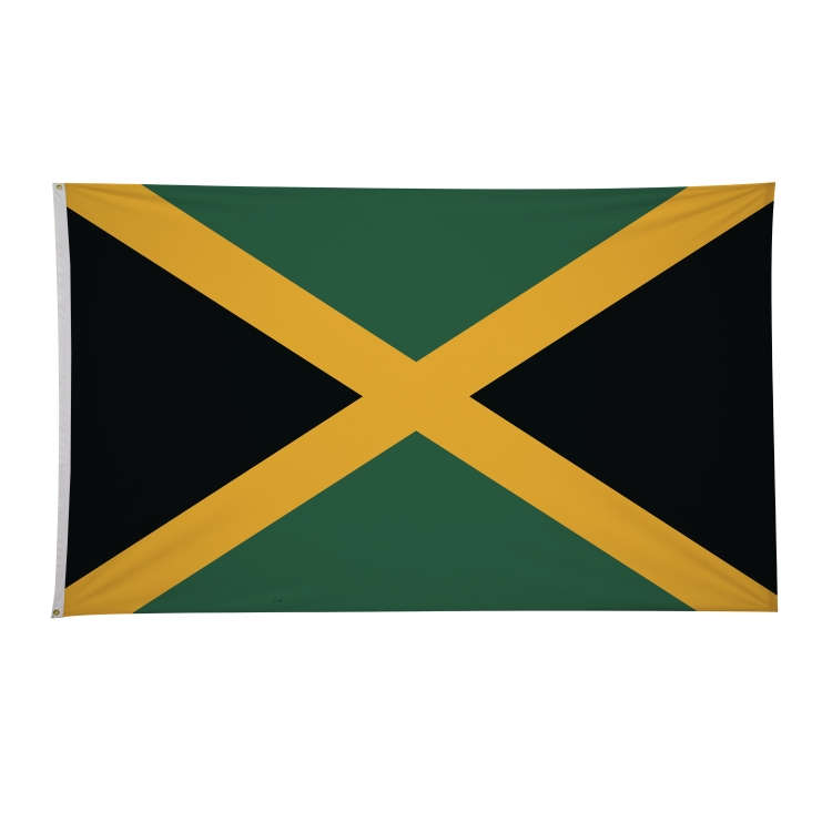 6' x 10' International Flags 176