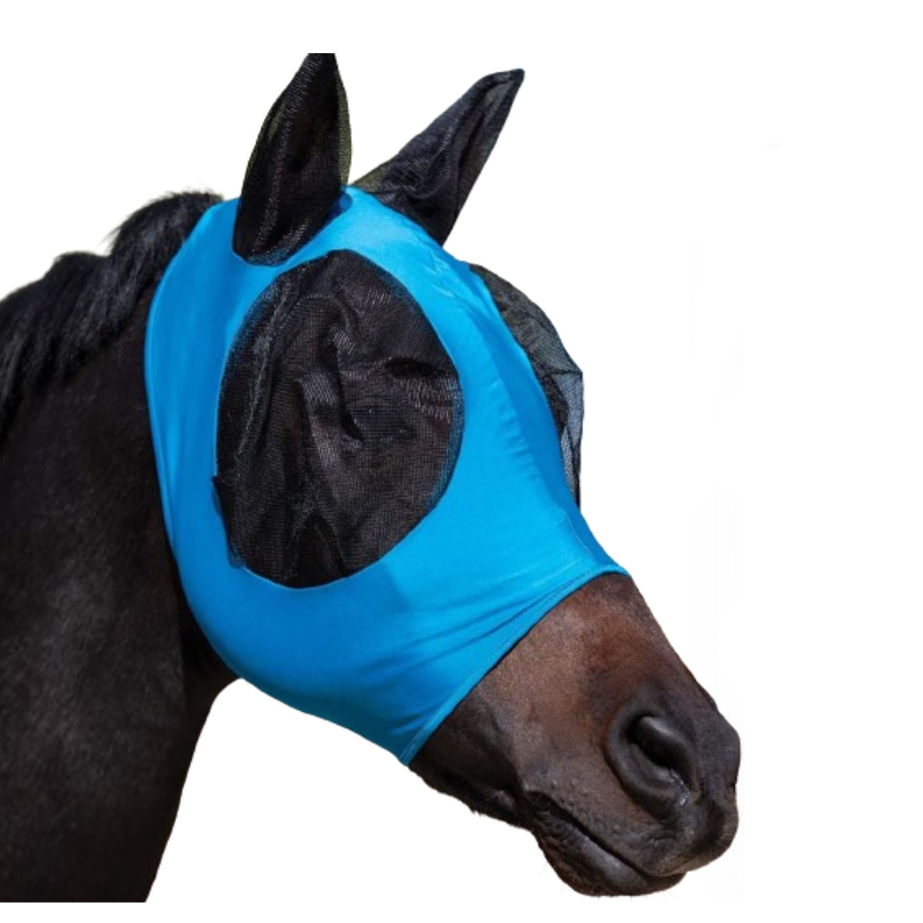 Horse Fly Mask 6