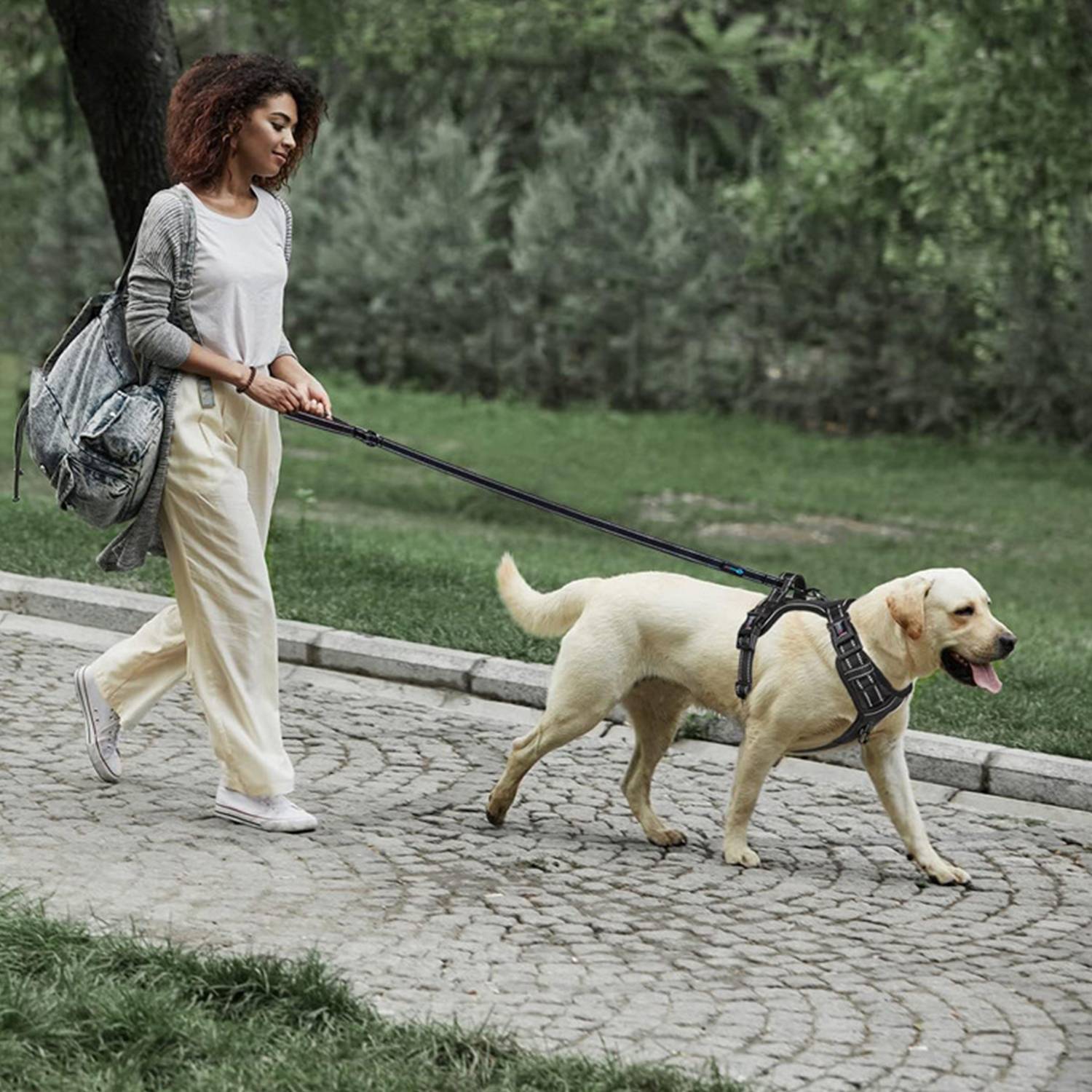 6-in-1 Reflective Dog Leash for Running and Training 2