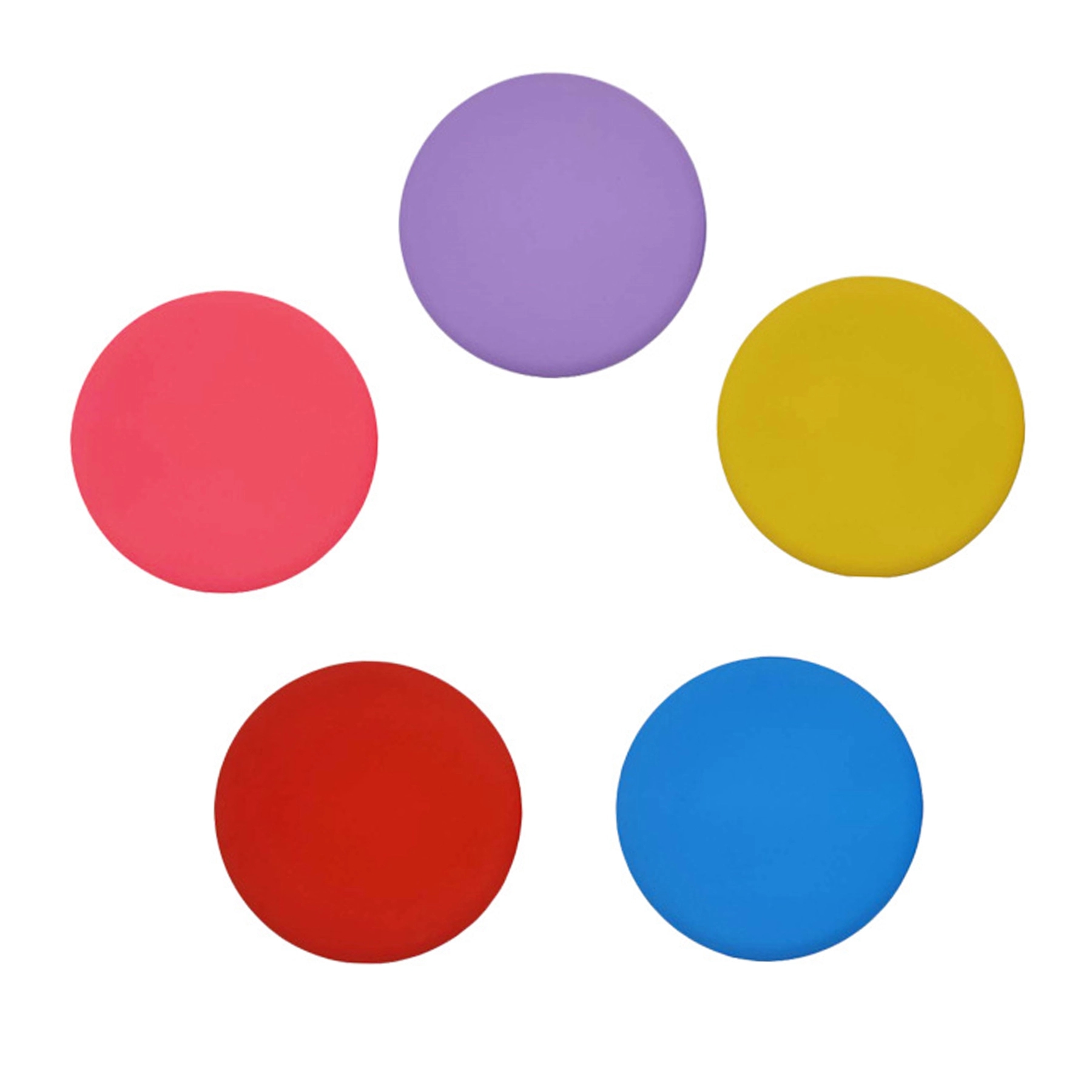 Silicone Pet Flying Disc 2