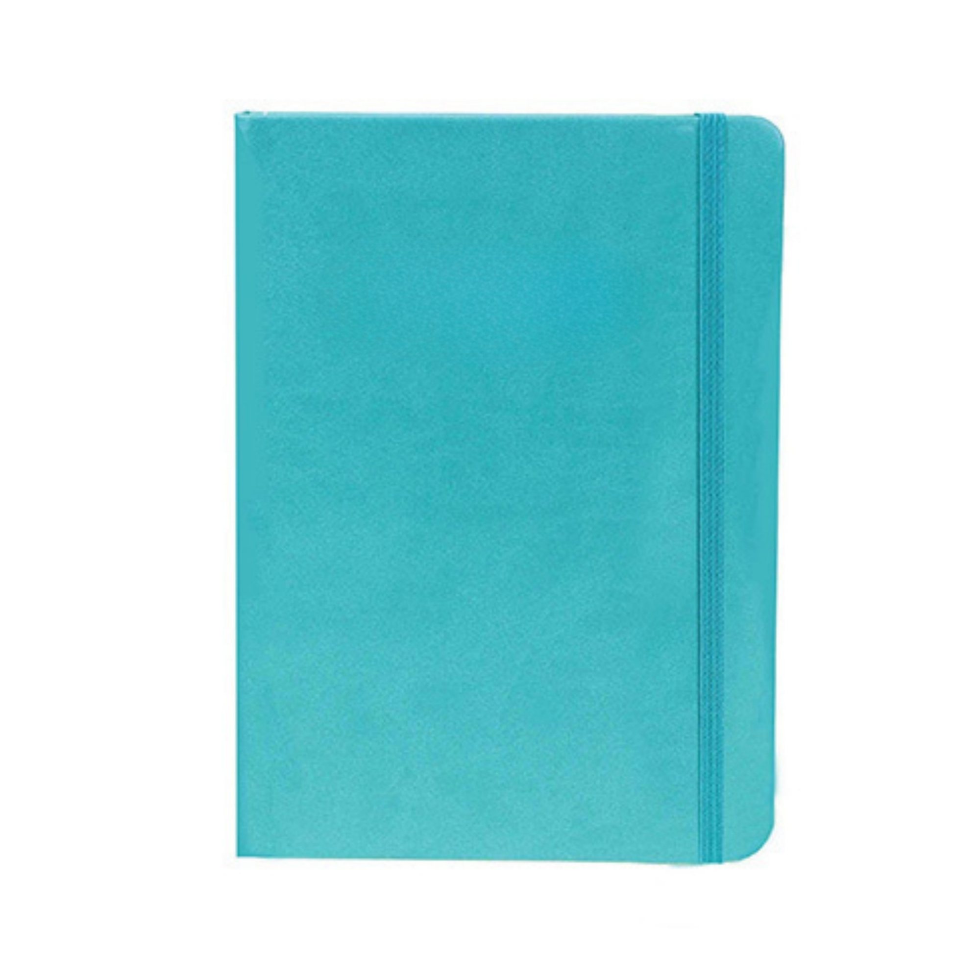 Basics Classic Lined Leather Notebooks 2