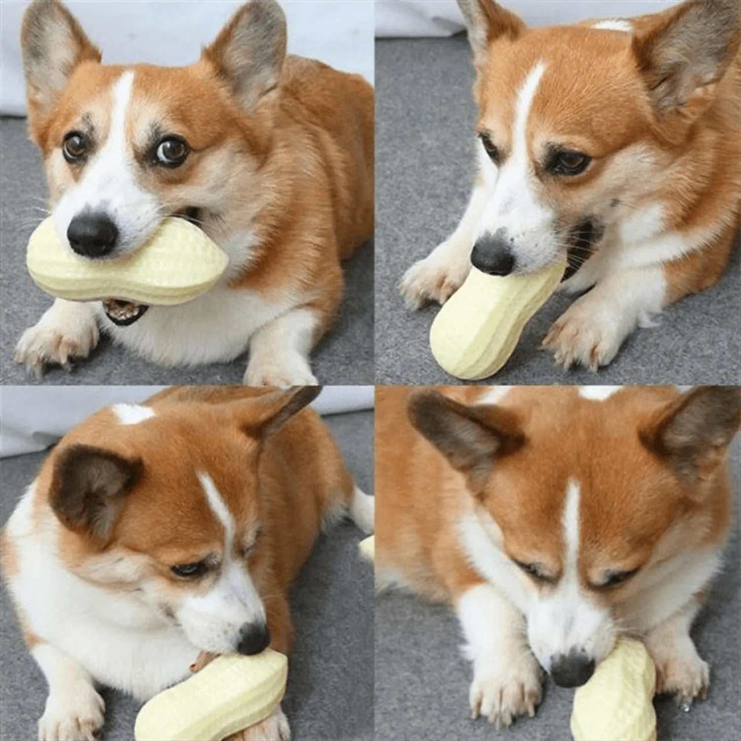Teeth Grinding And Bite Resistant Toy Ball 10