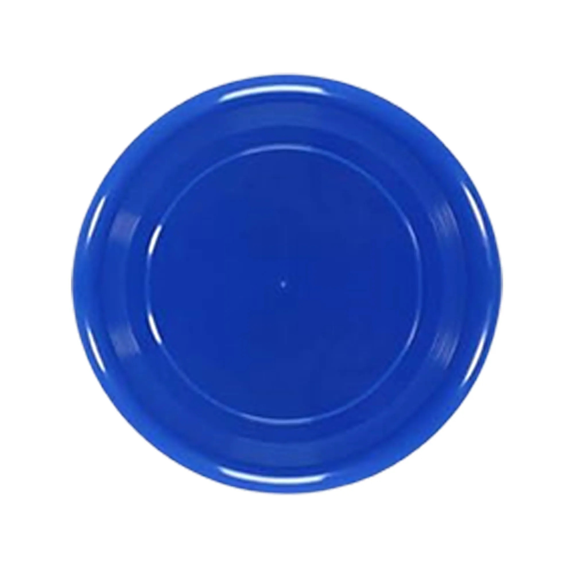 9 Inch Plastic Flying Disc 9