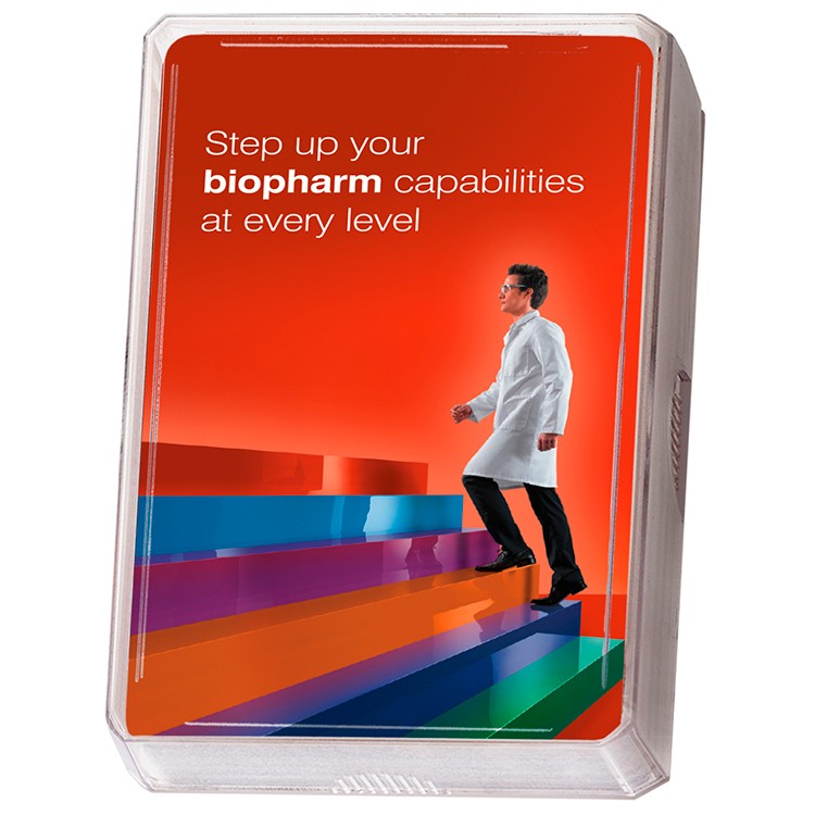 Single Clear Bridge Playing Card Box