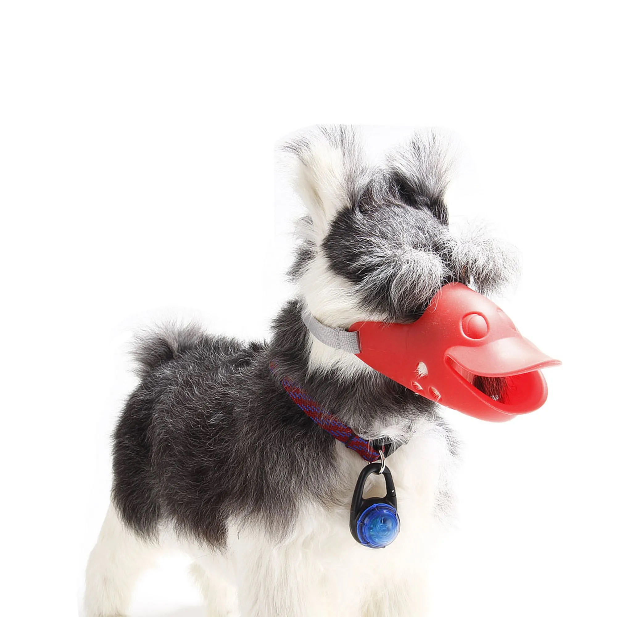 Waterproof Pendant For Pets 2
