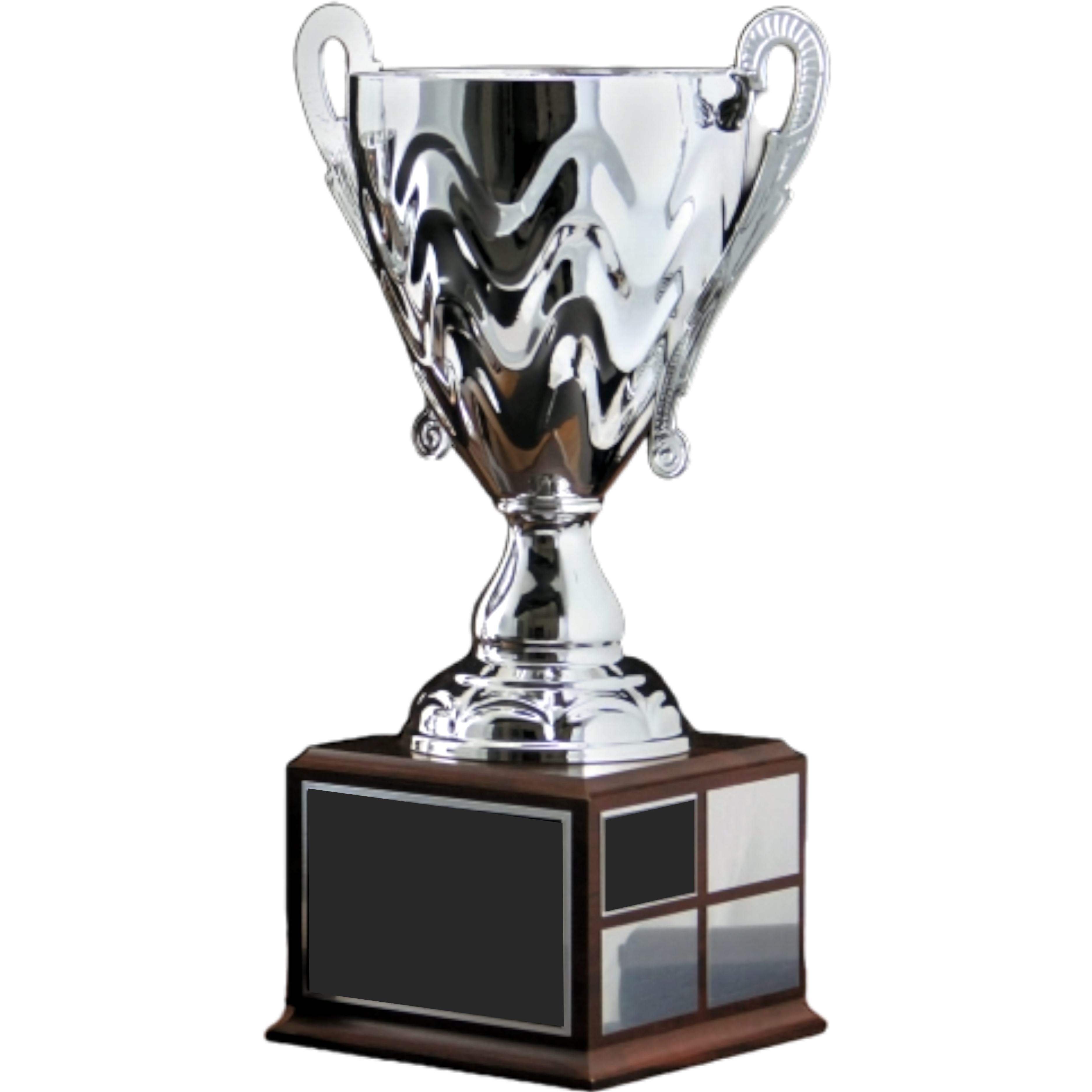 Wave Perpetual Silver Cup Trophy Award w/Perpetual Base 1
