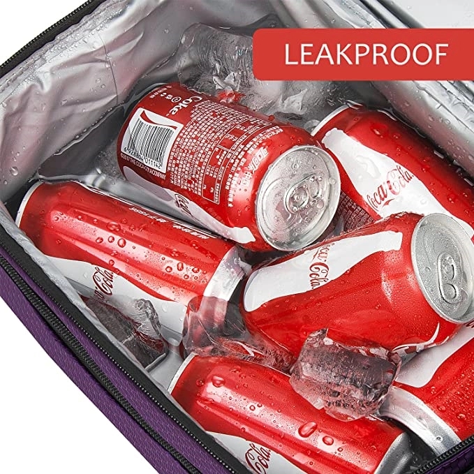 Dual Duty Lunch Cooler bag 11