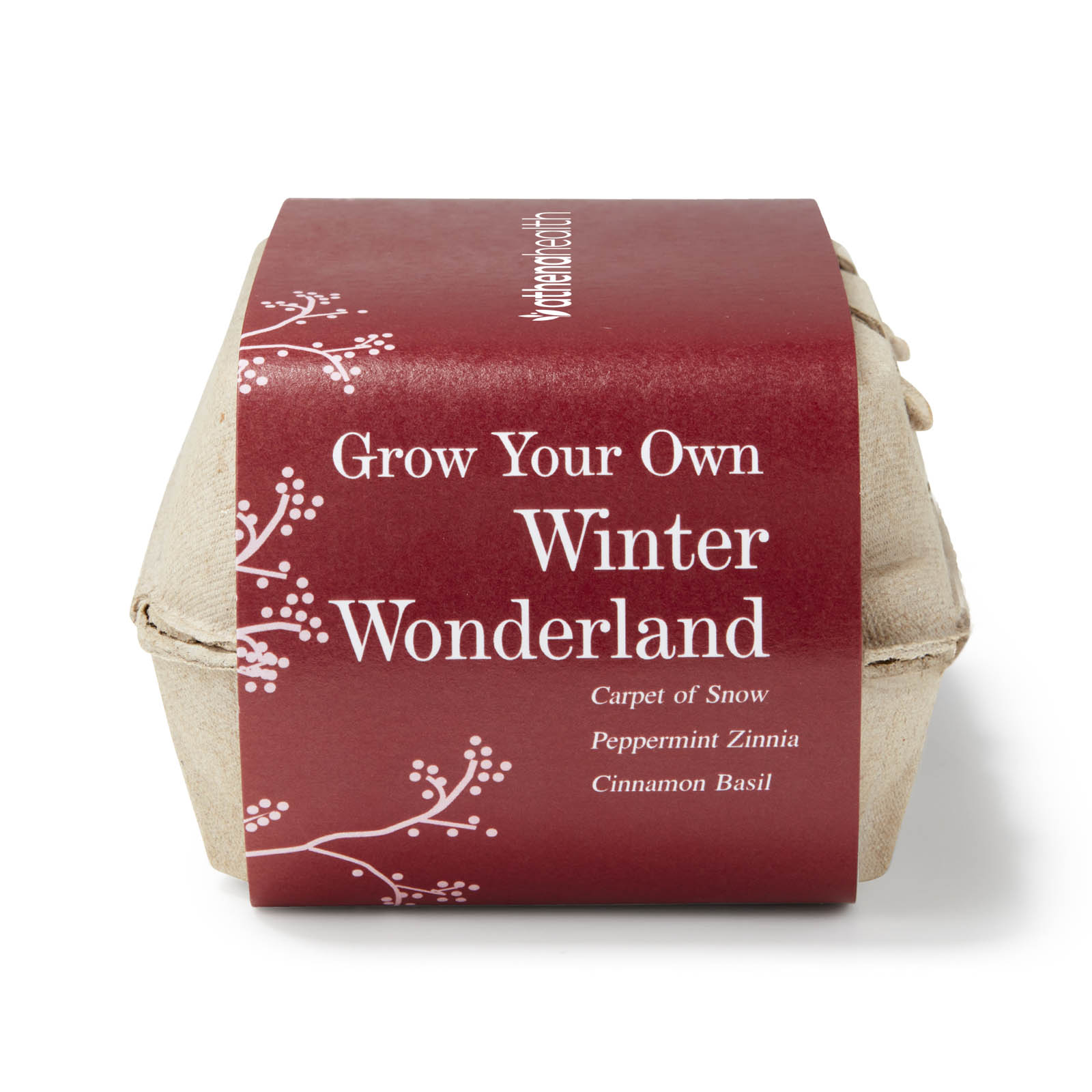 Winter Wonderland Grow Your Own Garden Kit w/Seeds 4