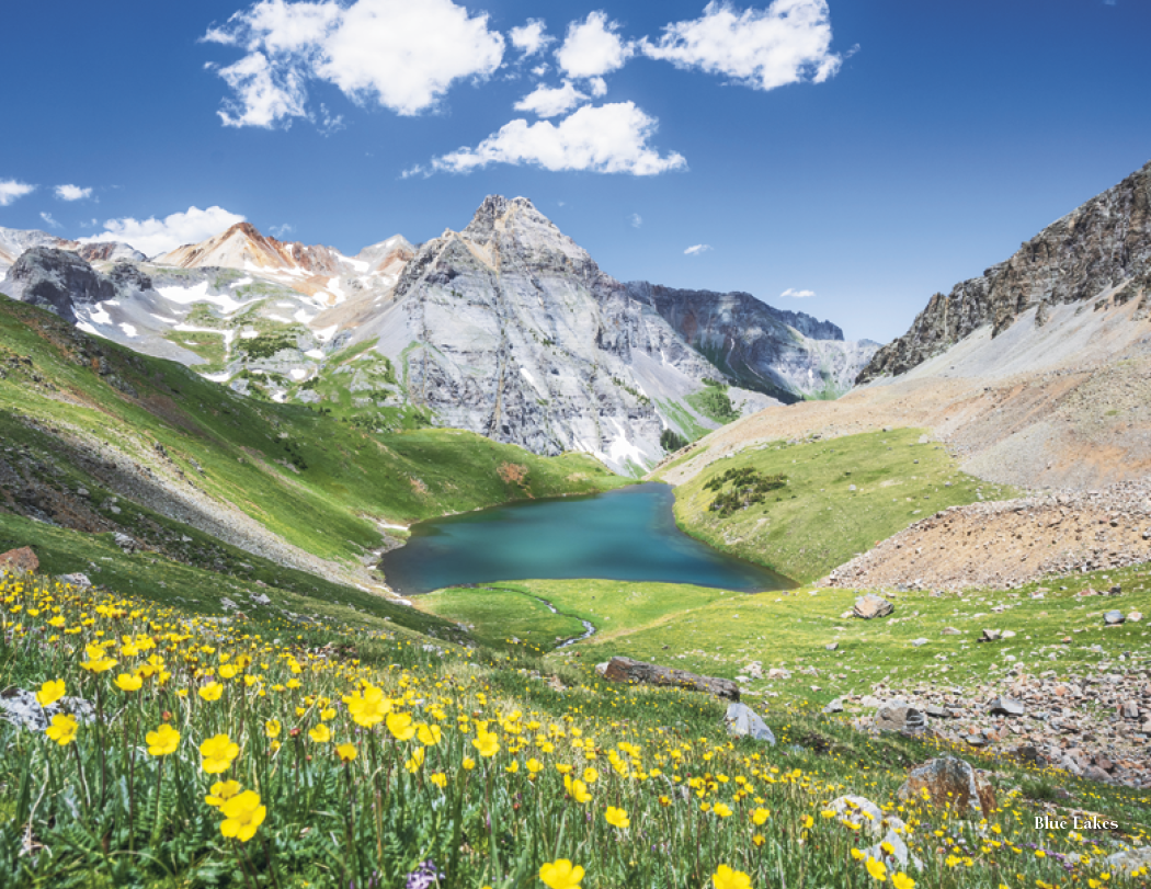HotLine® Products Colorado Collection 24