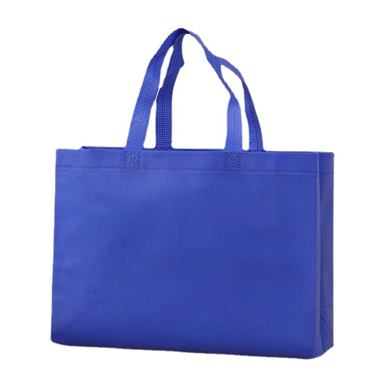 Non-woven Gift Bag 6