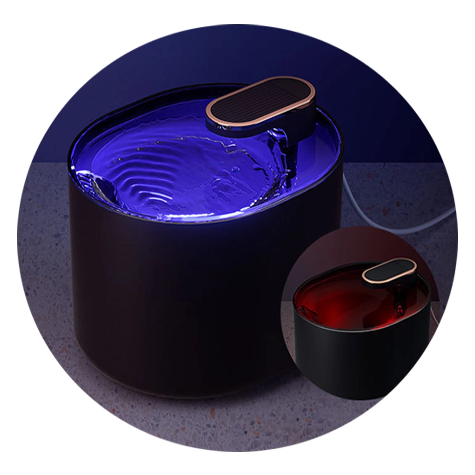 Pet Water Dispenser 3