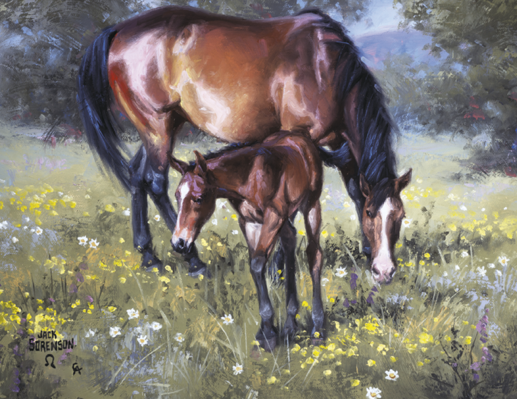 Good Value™ Western Frontier - Spiral Calendar 22