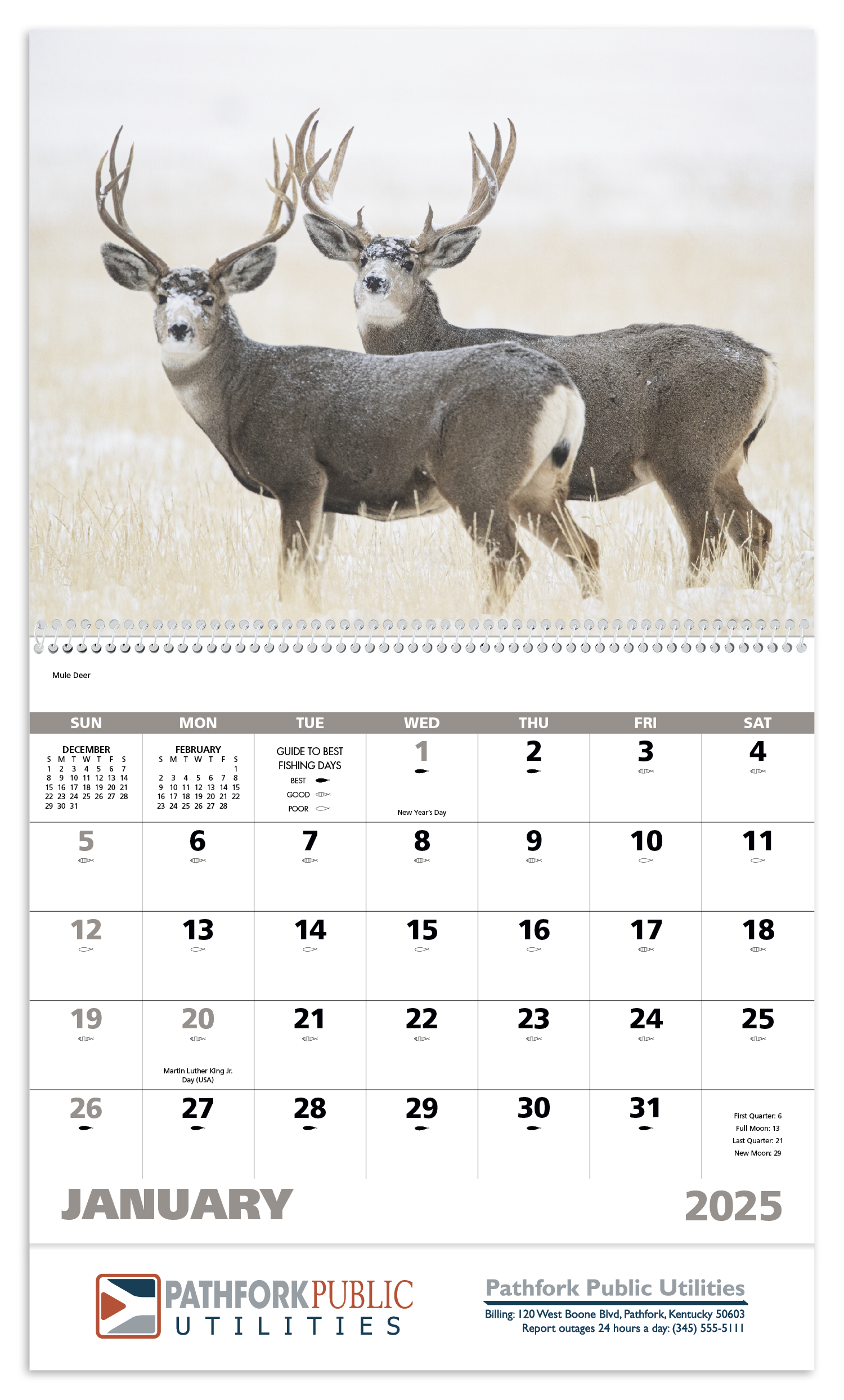 Good Value™ Wildlife Portraits - Spiral Calendar 3