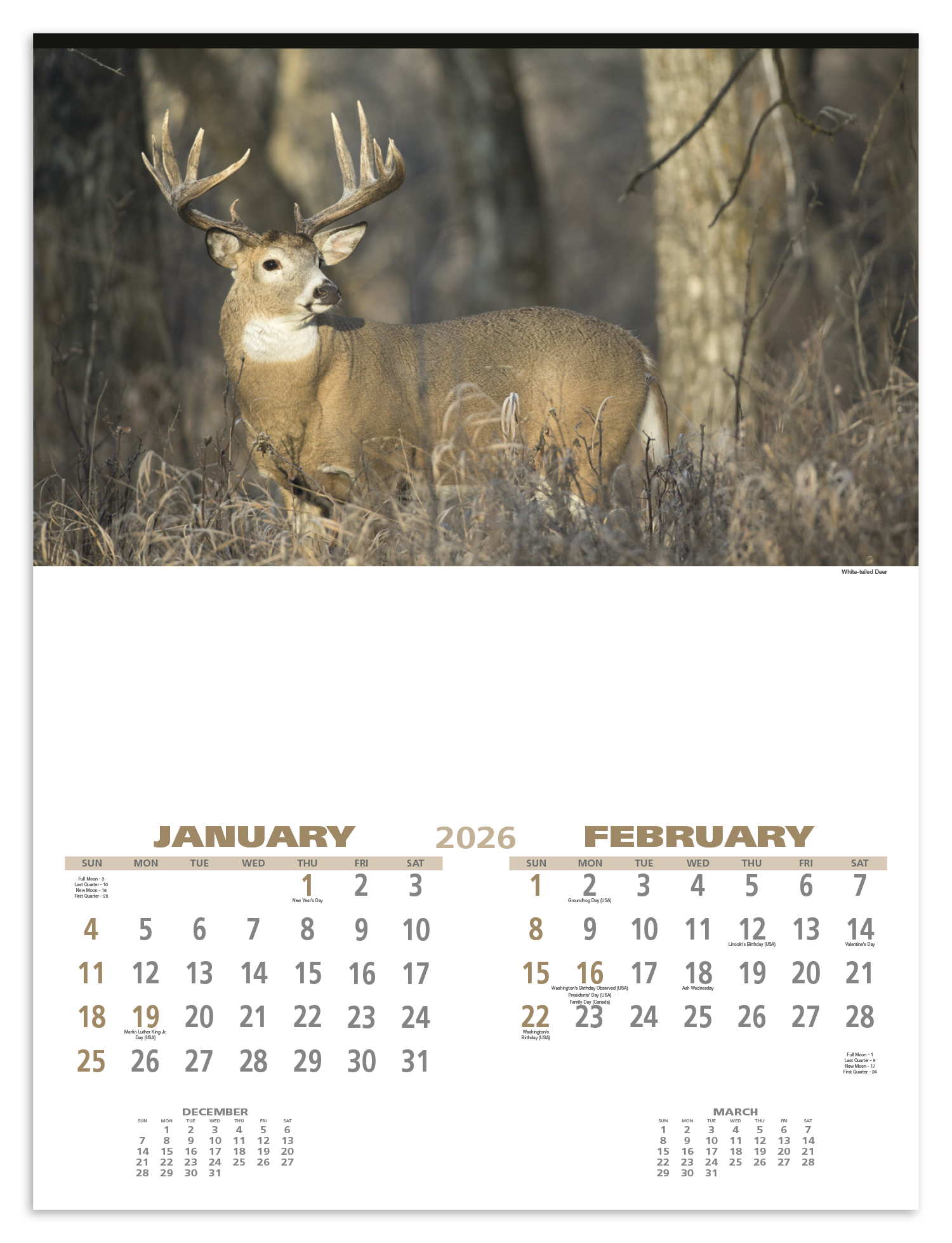 Triumph® Calendars Wildlife Calendar 12