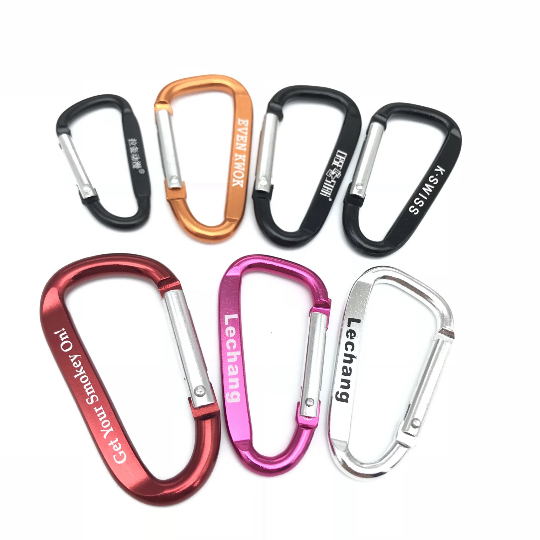Carabiner Key Chain 1